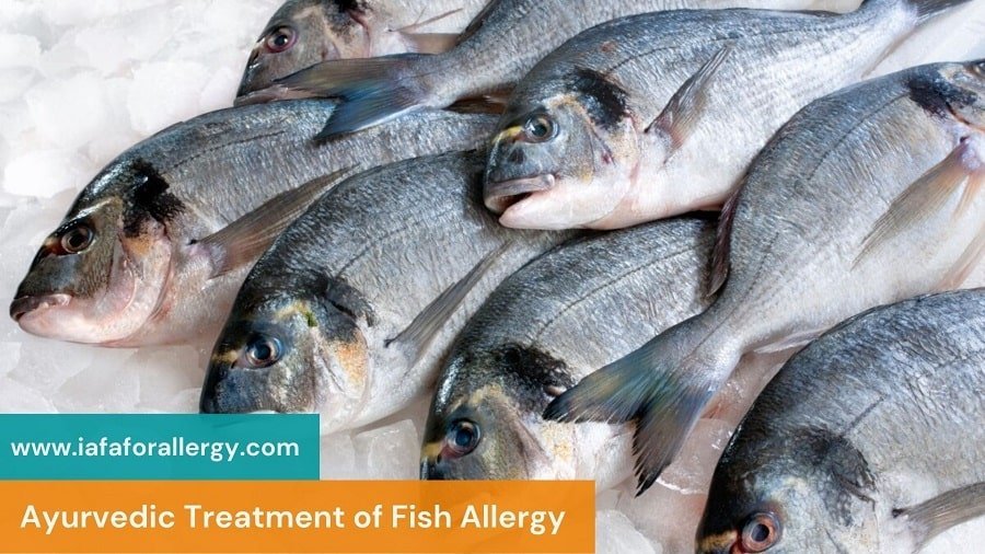 Fish Allergy - Causes, Symptoms and Ayurvedic Treatment
