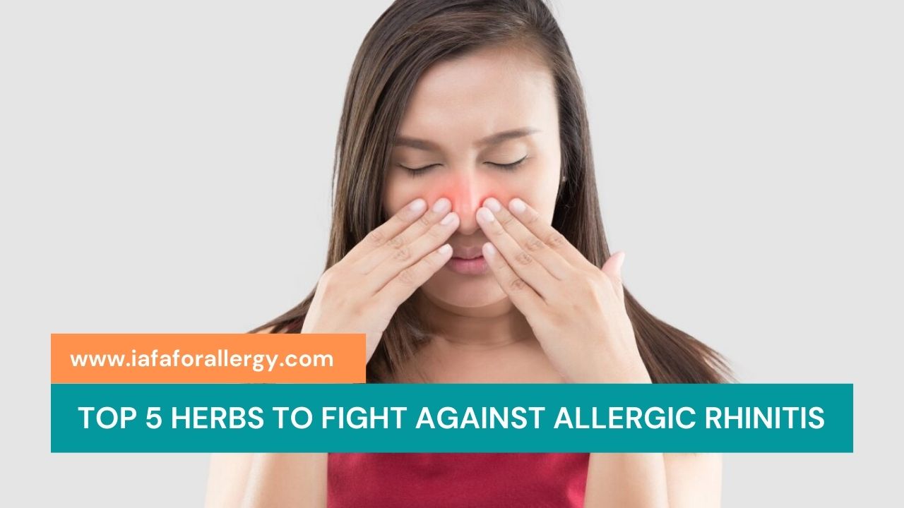 Top 5 Herbs to Fight Against Allergic Rhinitis
