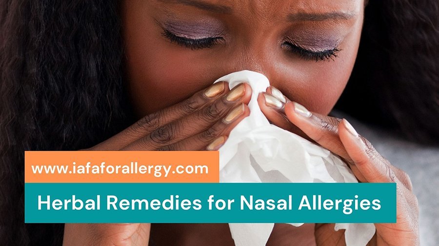 Effective Herbal Remedies for Nasal Allergies