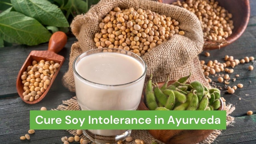Soy Intolerance Treatment in Ayurveda