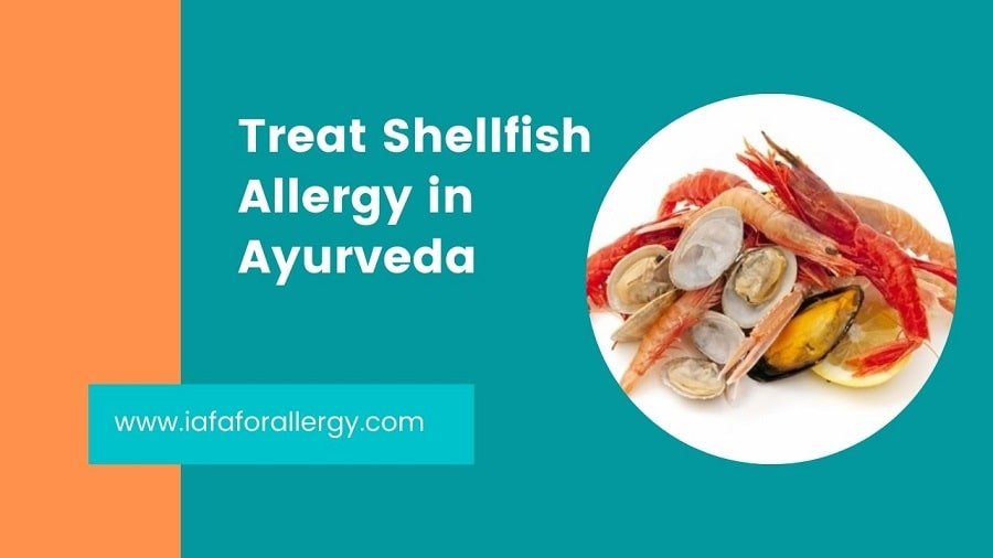 Treat Shellfish Allergy in Ayurveda