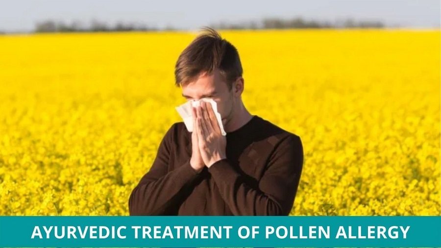 Ayurvedic Treatment of Pollen Allergy