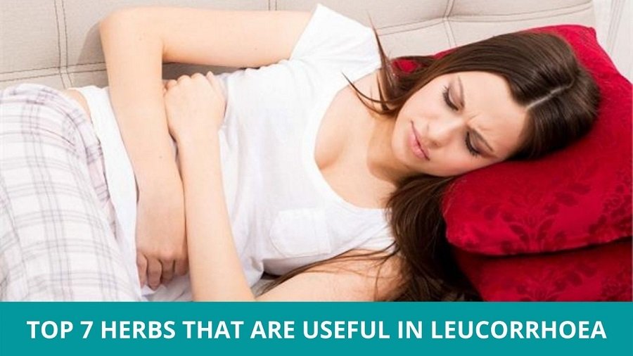 Herbs for Leucorrhoea