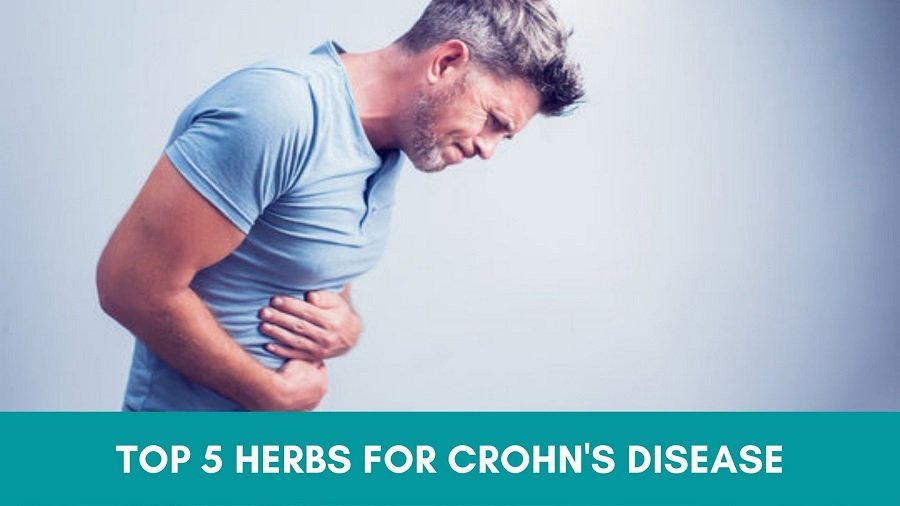 Top 5 Herbs for Crohn's Disease Natural Treatment