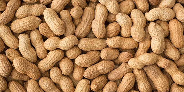 Peanuts Allergy