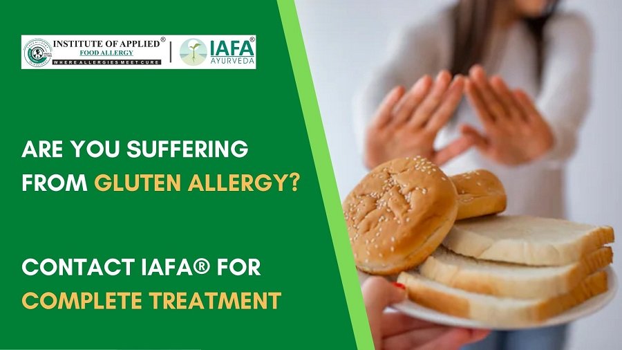 Are You Suffering from Gluten Allergy? Contact IAFA®️ for Complete