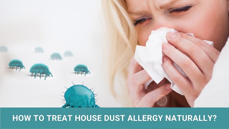 Treat House Dust Allergy