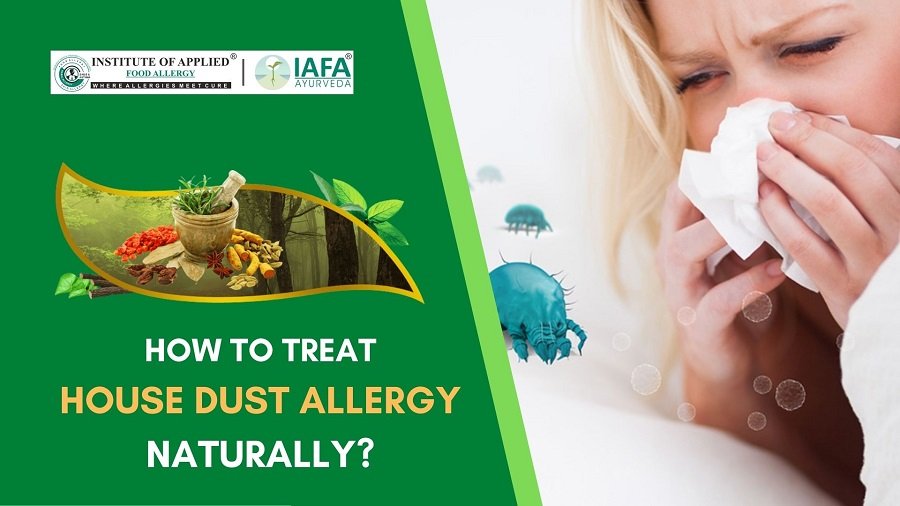 How to Treat House Dust Allergy Naturally?