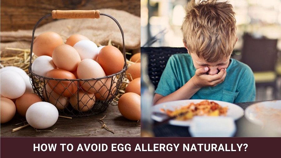 Avoid Egg Allergy Naturally