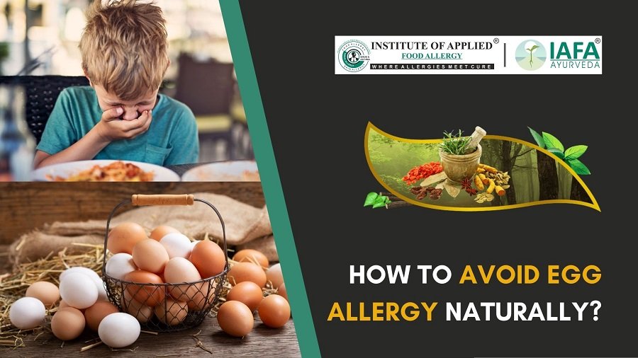 How to Avoid Egg Allergy Naturally?