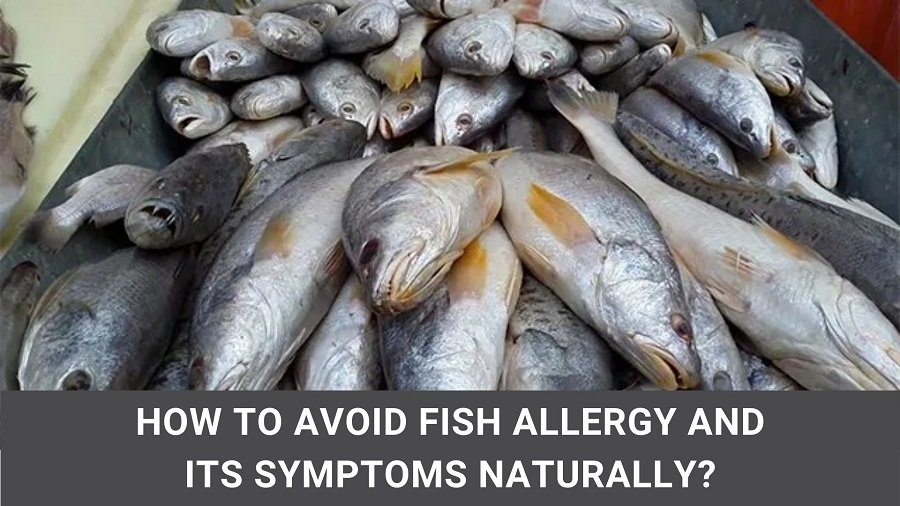 How to Avoid Fish Allergy and its Symptoms Naturally?