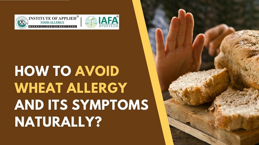 How to Avoid Wheat Allergy and its Symptoms Naturally?
