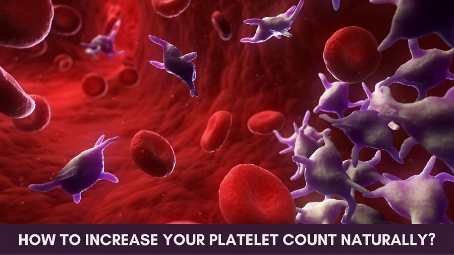 How to Increase Your Platelet Count Naturally?