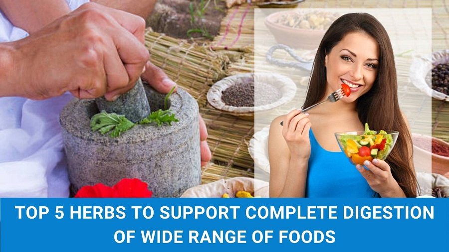 Top 5 Herbs to Support Complete Digestion of Wide Range of Foods