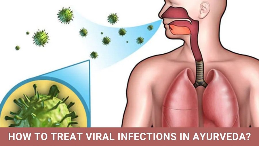 How to Treat Viral Infections in Ayurveda?