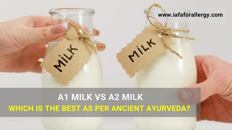 A1 Milk Vs A2 Milk - Which is the Best as per Ancient Ayurveda?