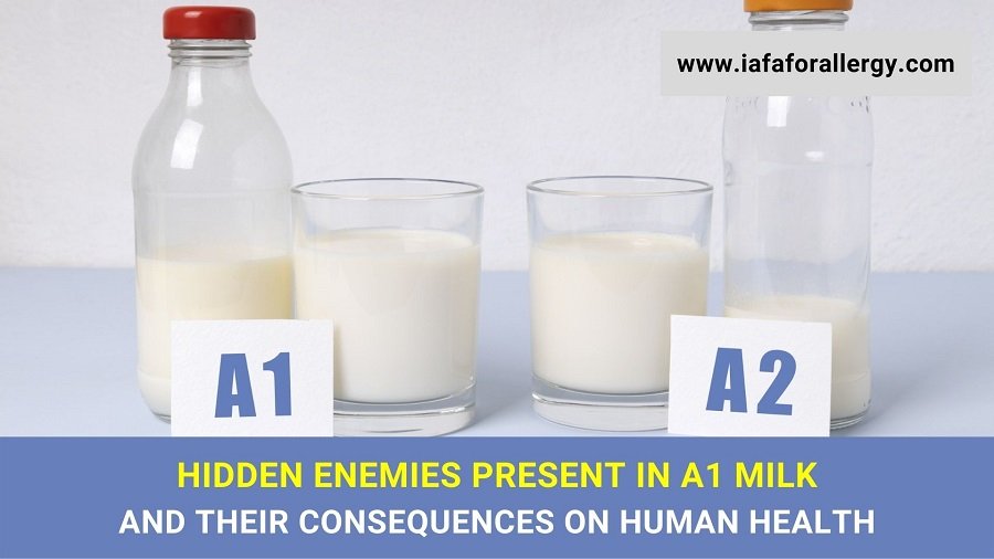Hidden Enemies Present in A1 Milk and Their Consequences on Human Health