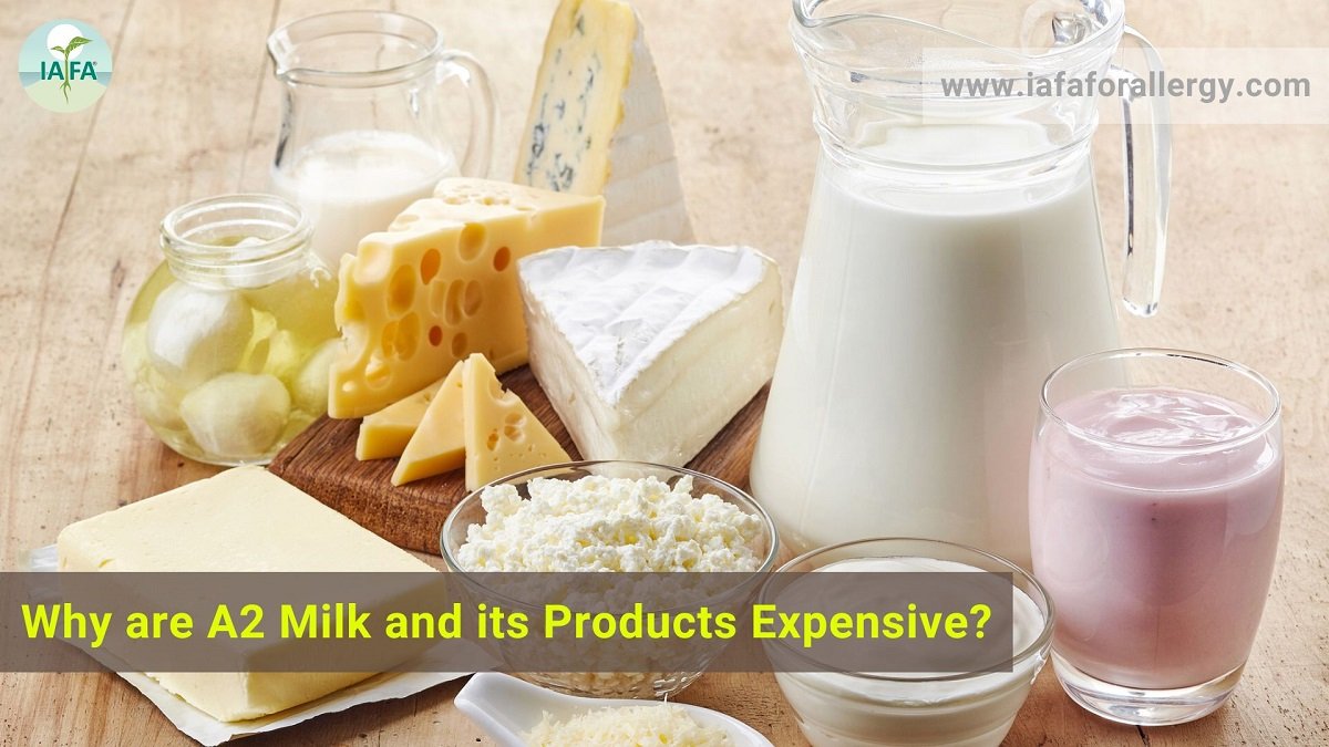 Why are A2 Milk and its Products Expensive?