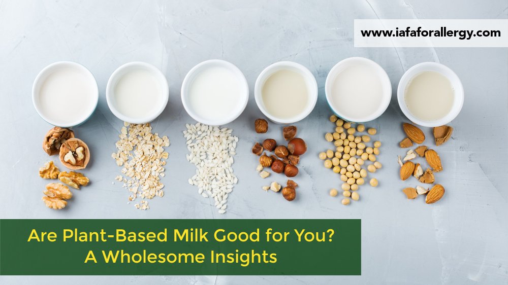 Are Plant-Based Milk (Vegan Milk) Good for You? A Wholesome Insights
