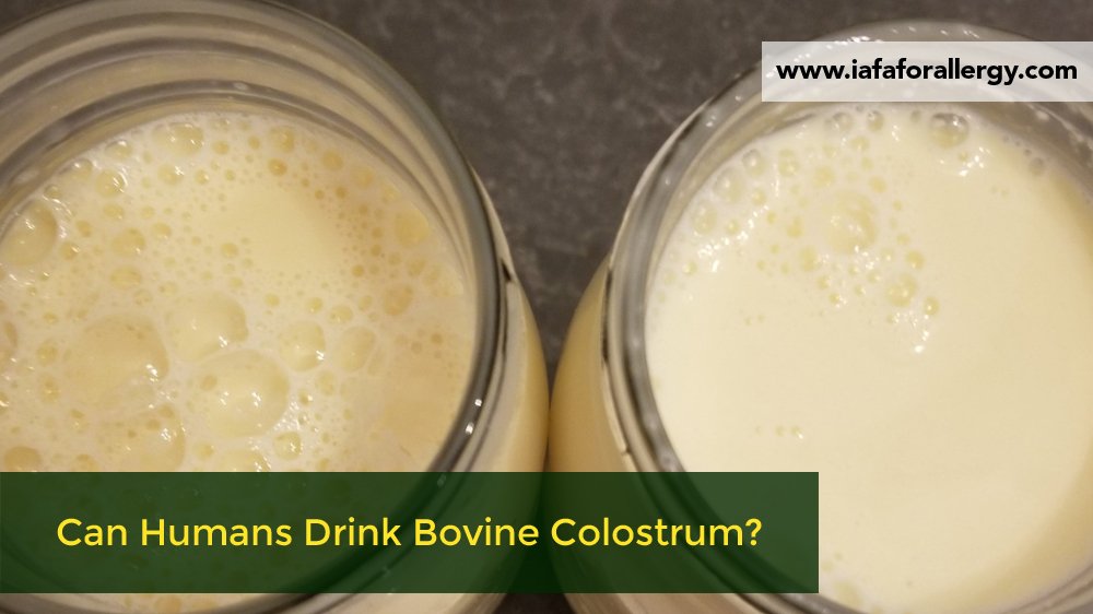 Can Humans Drink Bovine Colostrum?