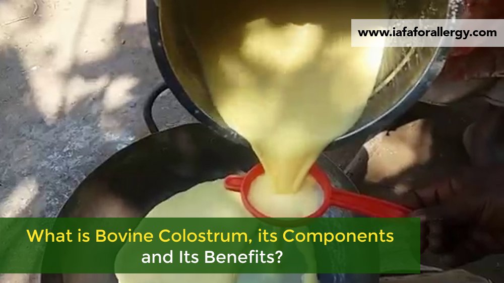 What is Bovine Colostrum, its Components and Its Benefits?