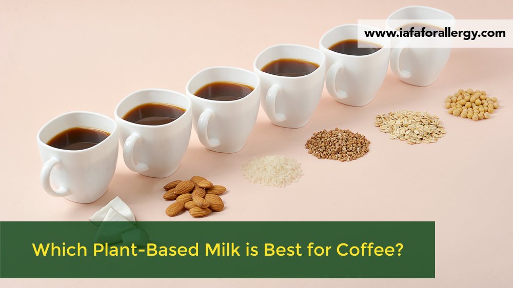 Which Plant-Based Milk is Best for Coffee?