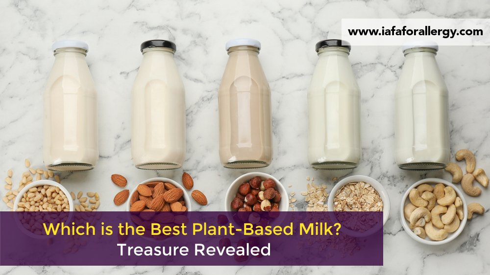 Which is the Best Plant-Based Milk? Treasure Revealed