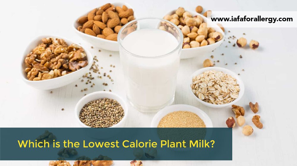 Which is the Lowest Calorie Plant Milk?