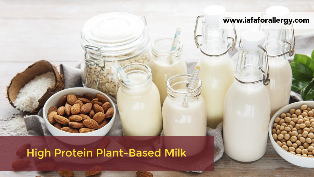 Which Plant-Based Milk has the Highest Protein?