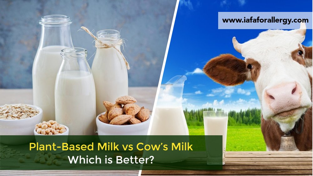 Plant-Based Milk vs Cow’s Milk: Which is Better?