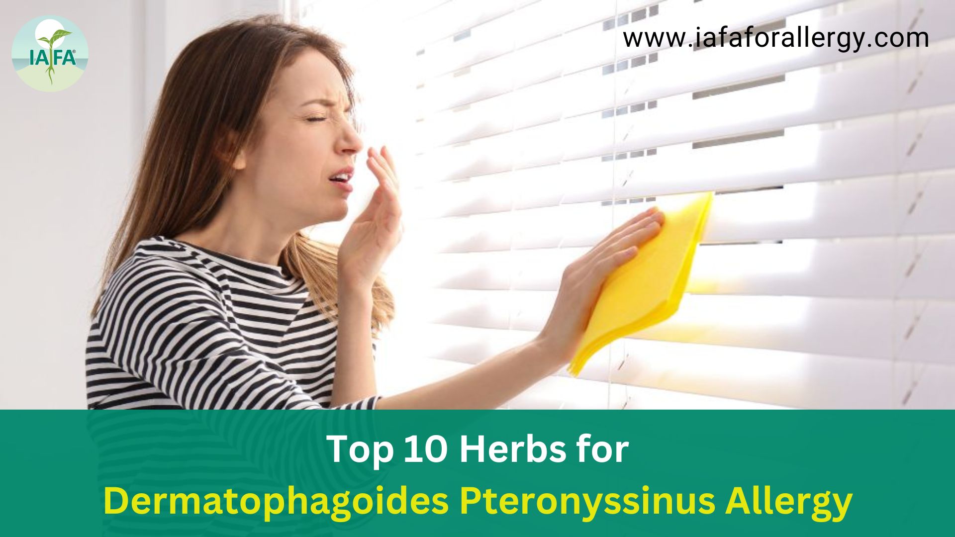 Top 10 Herbs for Dermatophagoides Pteronyssinus Allergy