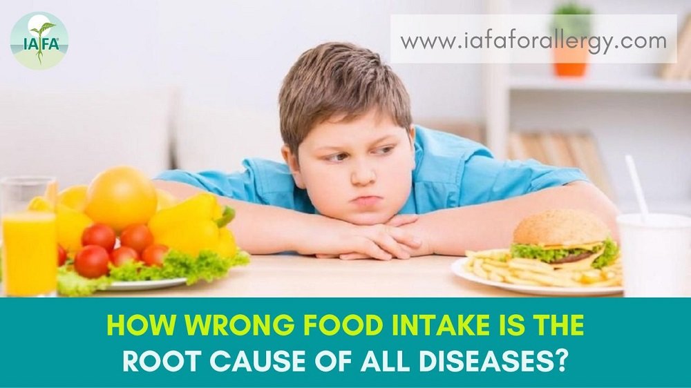 How Wrong Food Intake is the Root Cause of All Diseases?