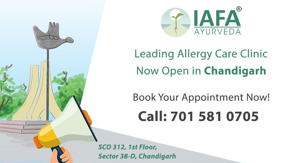 Best Allergy Care Clinic in Chandigarh