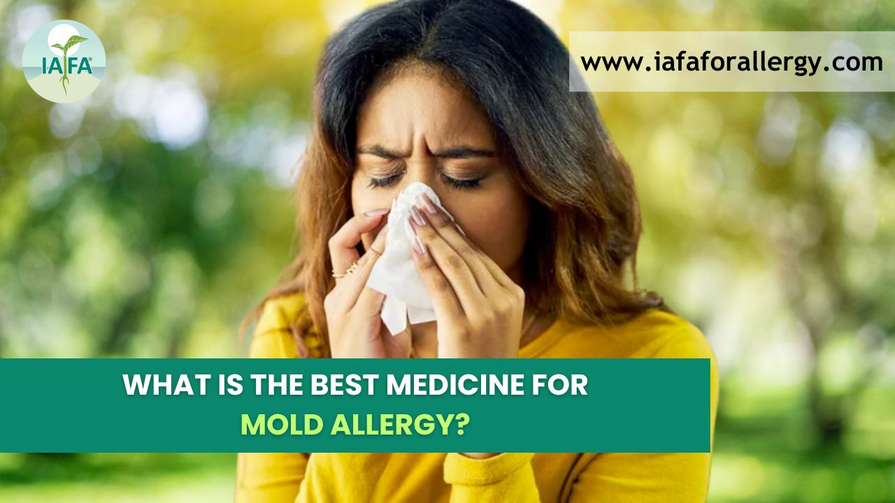 What is the Best Medicine for Mold Allergy?