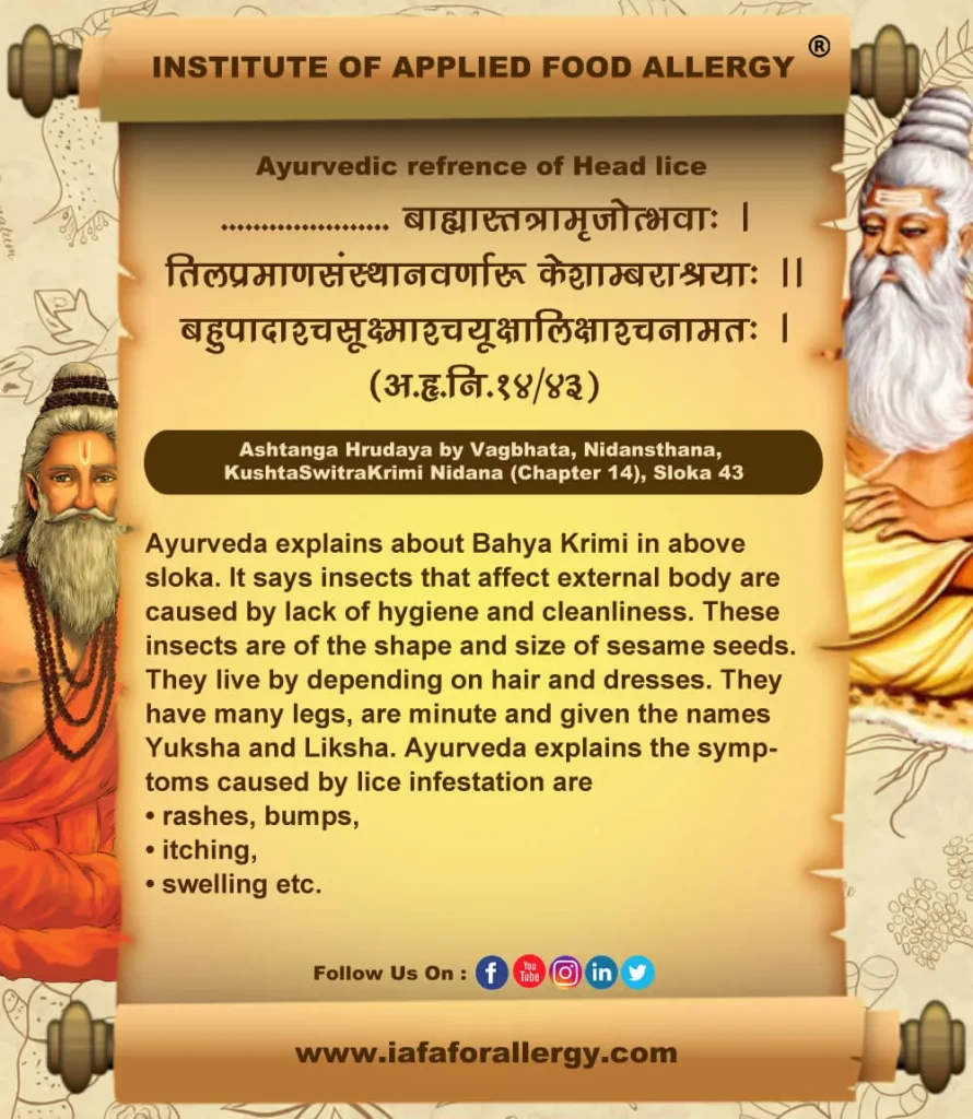 Ayurvedic Refrence of Head lice-Krimi