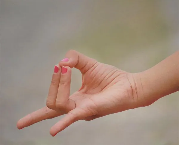 Apana Mudra