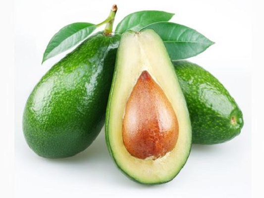 Avocado - Makhanphal - Persea Americana - Therapeutic Uses and Benefits