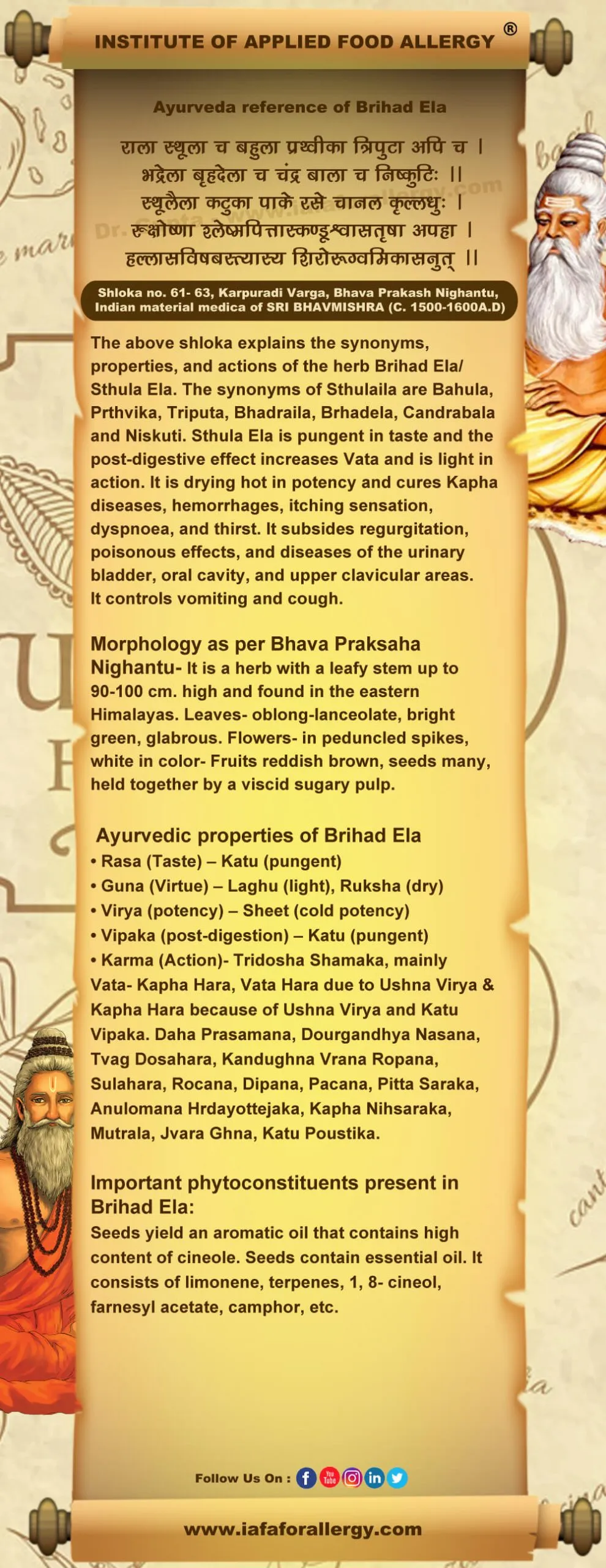 Ayurveda reference of Brihad Ela