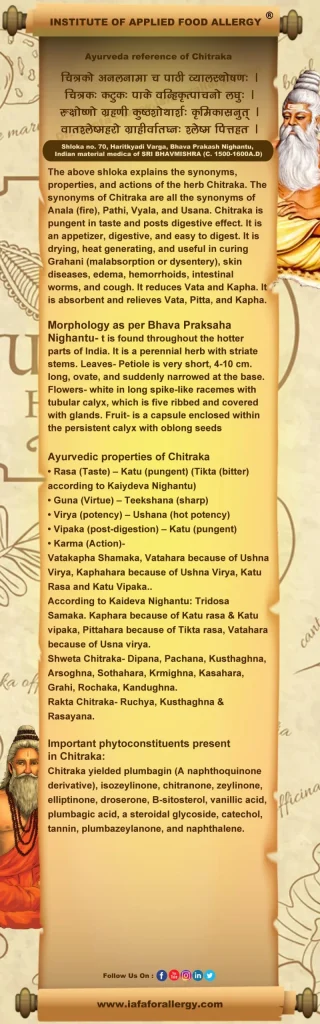 Ayurveda reference for Chitraka (Plumbago zeylanica Linn.)