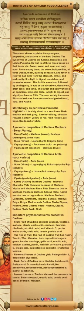 Ayurveda reference of Dadima