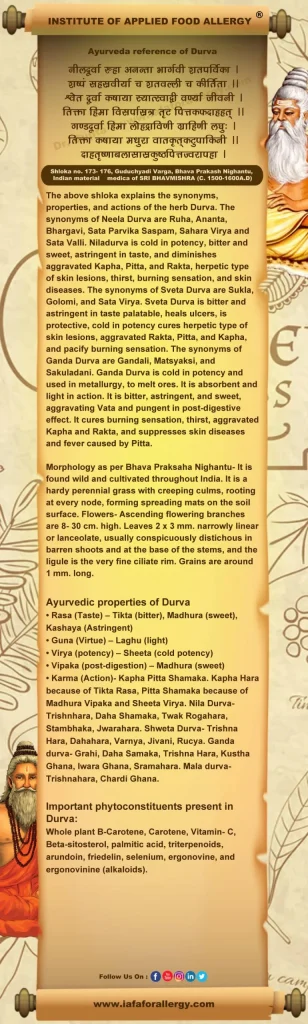 Ayurveda reference for Durva (Cynodon dactylon Person.)