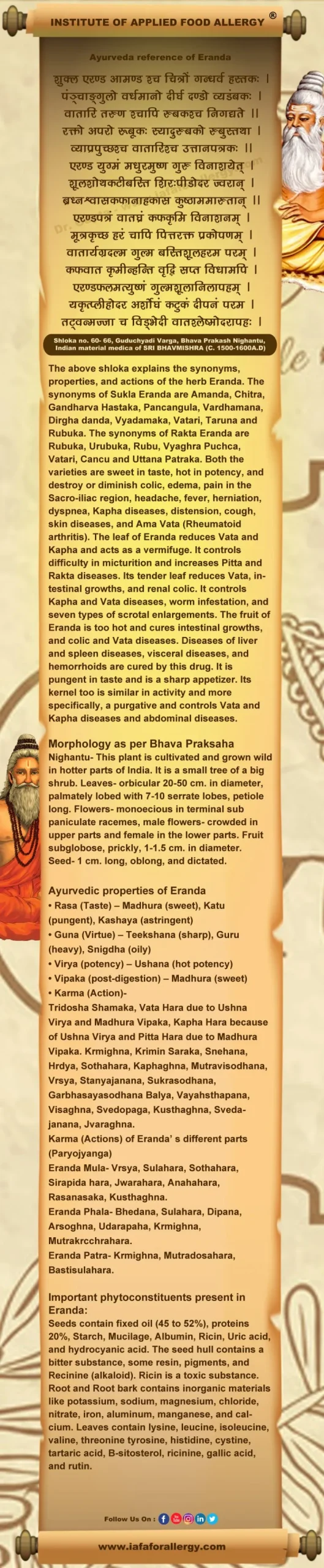 Ayurveda reference for Eranda (Ricinus communis Linn.)