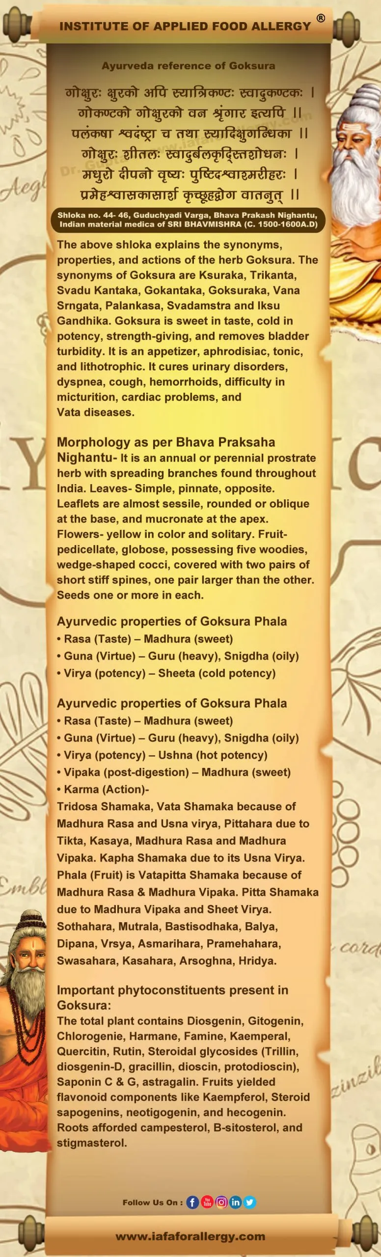 Ayurveda Reference for Goksura (Tribulus terrestris Linn.)