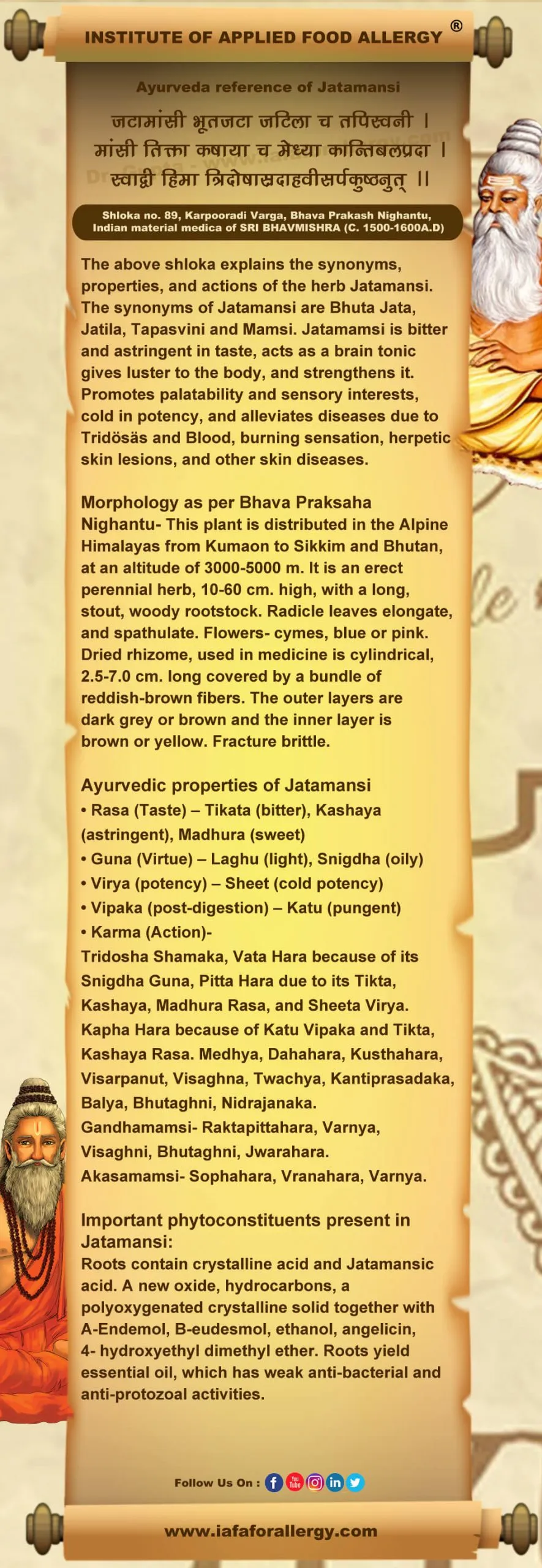 Ayurveda reference for Jatamansi (Nardostachys jatamansi)