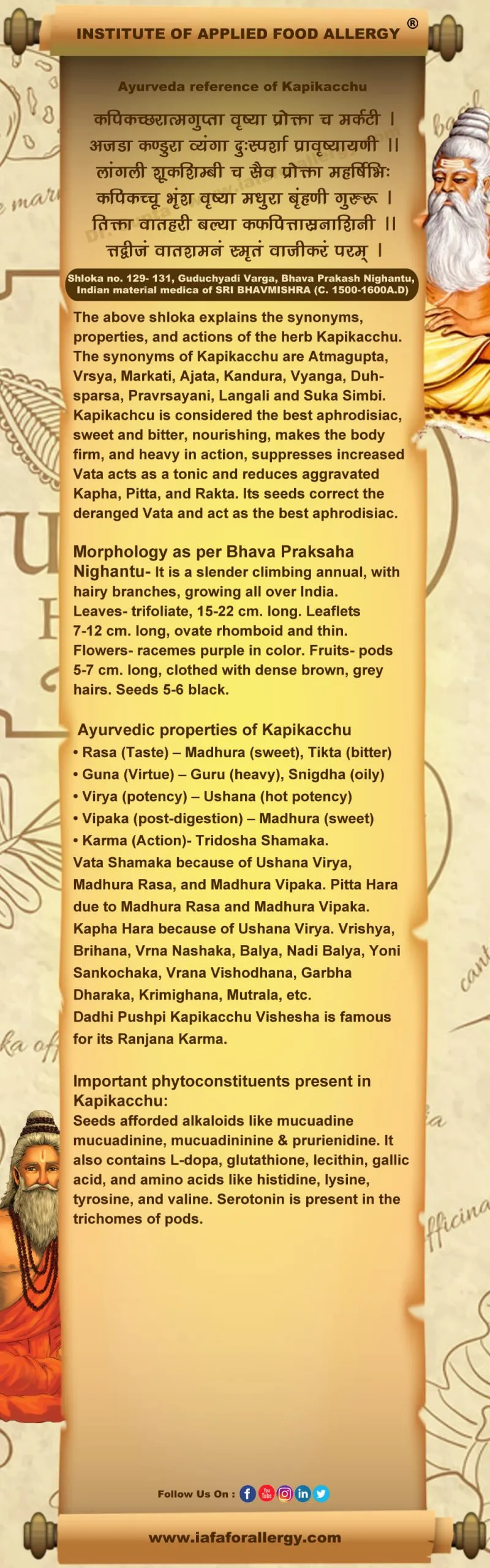 Ayurveda Reference for Kapikacchu (Mucuna pruriens Bak.)