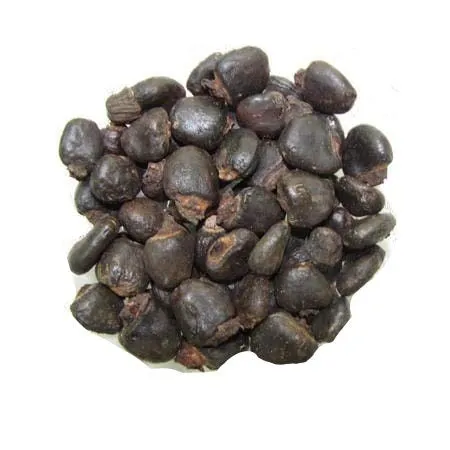 Bhallataka, Marking Nut (Semecarpus anacardium) - Medicinal Properties, Uses, and Benefits