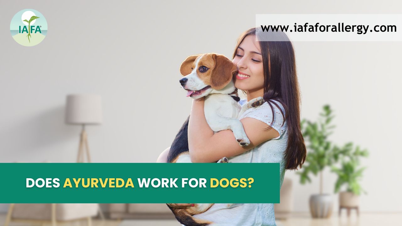 Does Ayurveda Work for Dogs?