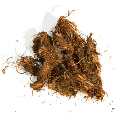 Jatamansi (Nardostachys Jatamansi) - Uses, Benefits and Medicinal Properties