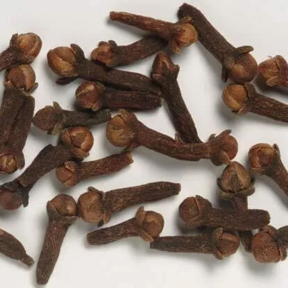 Lavanga (Syzygium aromaticum) - Uses, Benefits and Medicinal Properties