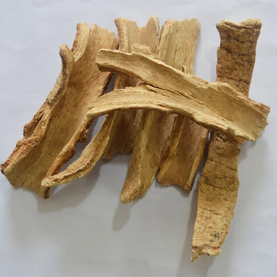 Lodhra (Symplocos racemosa) - Uses, Benefits and Medicinal Properties